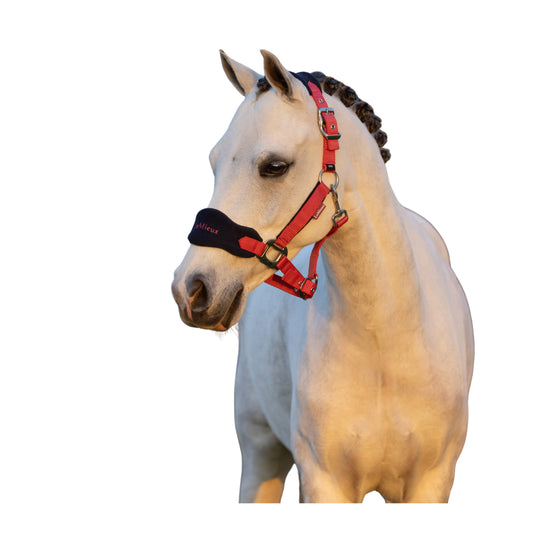 LeMieux Mini Vogue Headcollar & Leadrope AU25