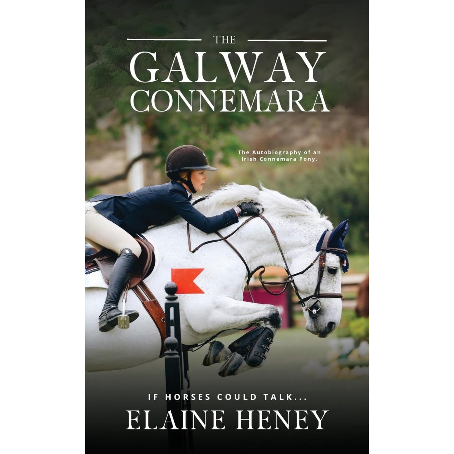 The Galway Connemara Book