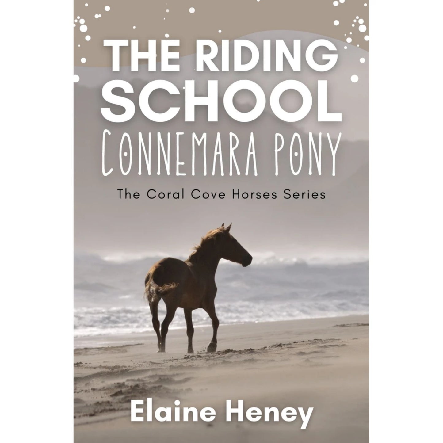 The Riding School Connemara Pony Book By Elaine Heney