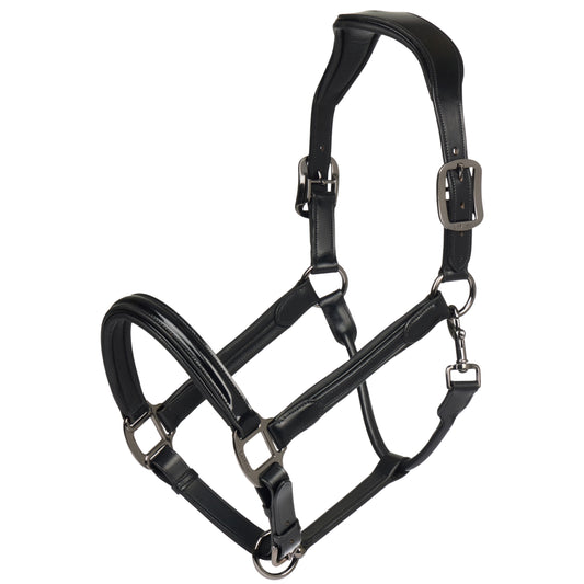 LeMieux Patent Leather Headcollar