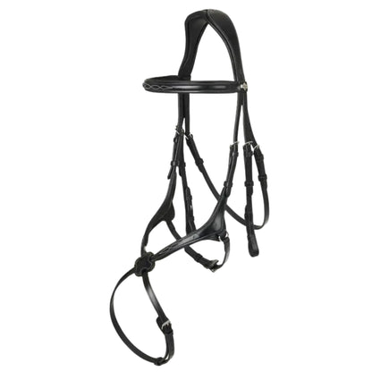 LeMieux Kudos Grackle Bridle