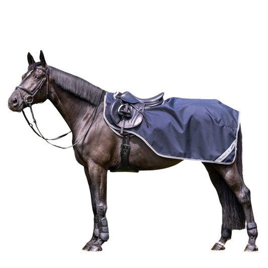 LeMieux Arika Exercise Sheet