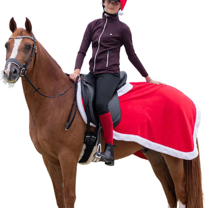 QHP Christmas Exercise Sheet