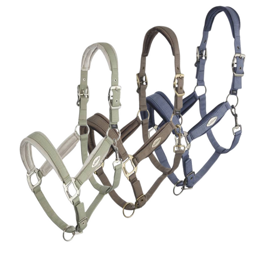 Lemieux Versailles Headcollar