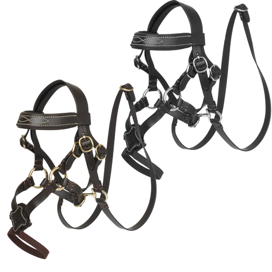LeMieux Toy Pony Grackle Bridle