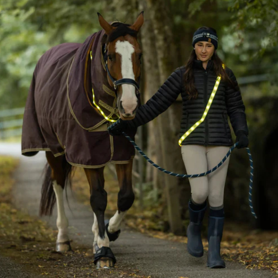 Woof Wear LED Sash