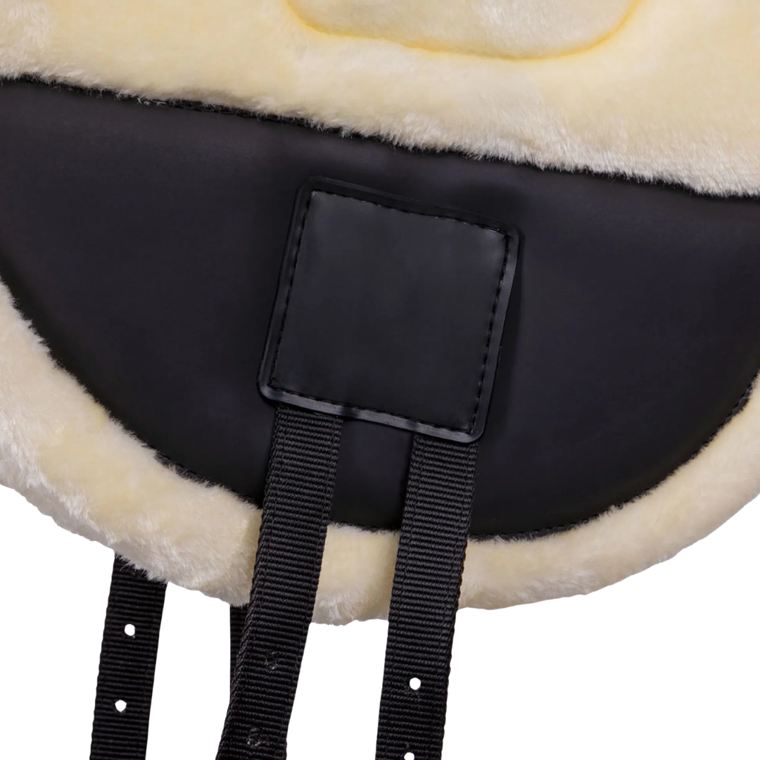 QHP Bareback Pad Ontario