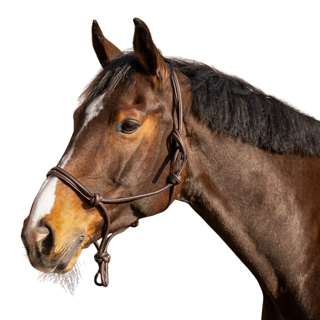 QHP Rope Halter Leather Liberta