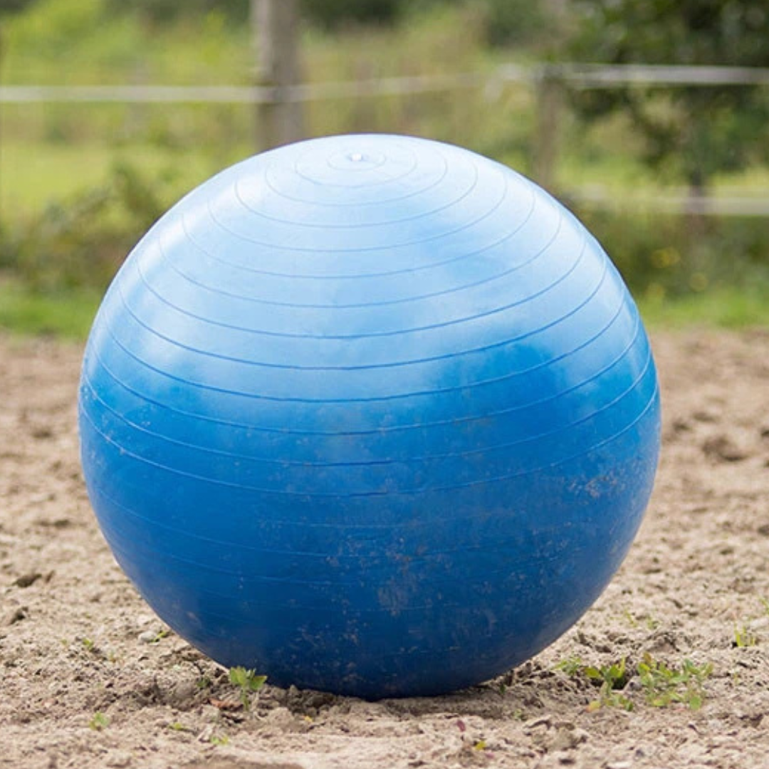 QHP Horse football 100 cm