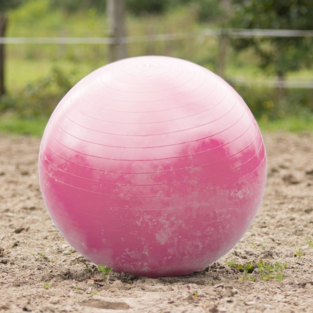 QHP Horse football 100 cm