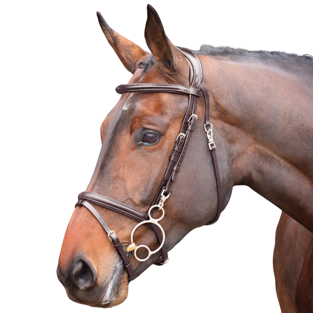 Shires Velociti RAPIDA Training Bridle