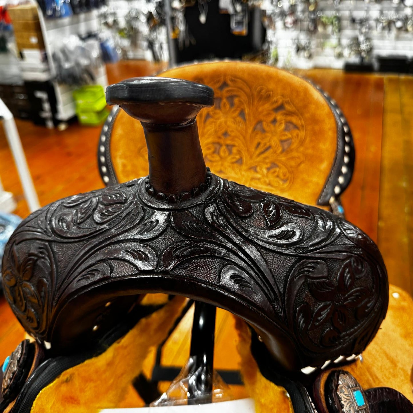 Western Saddle Brown