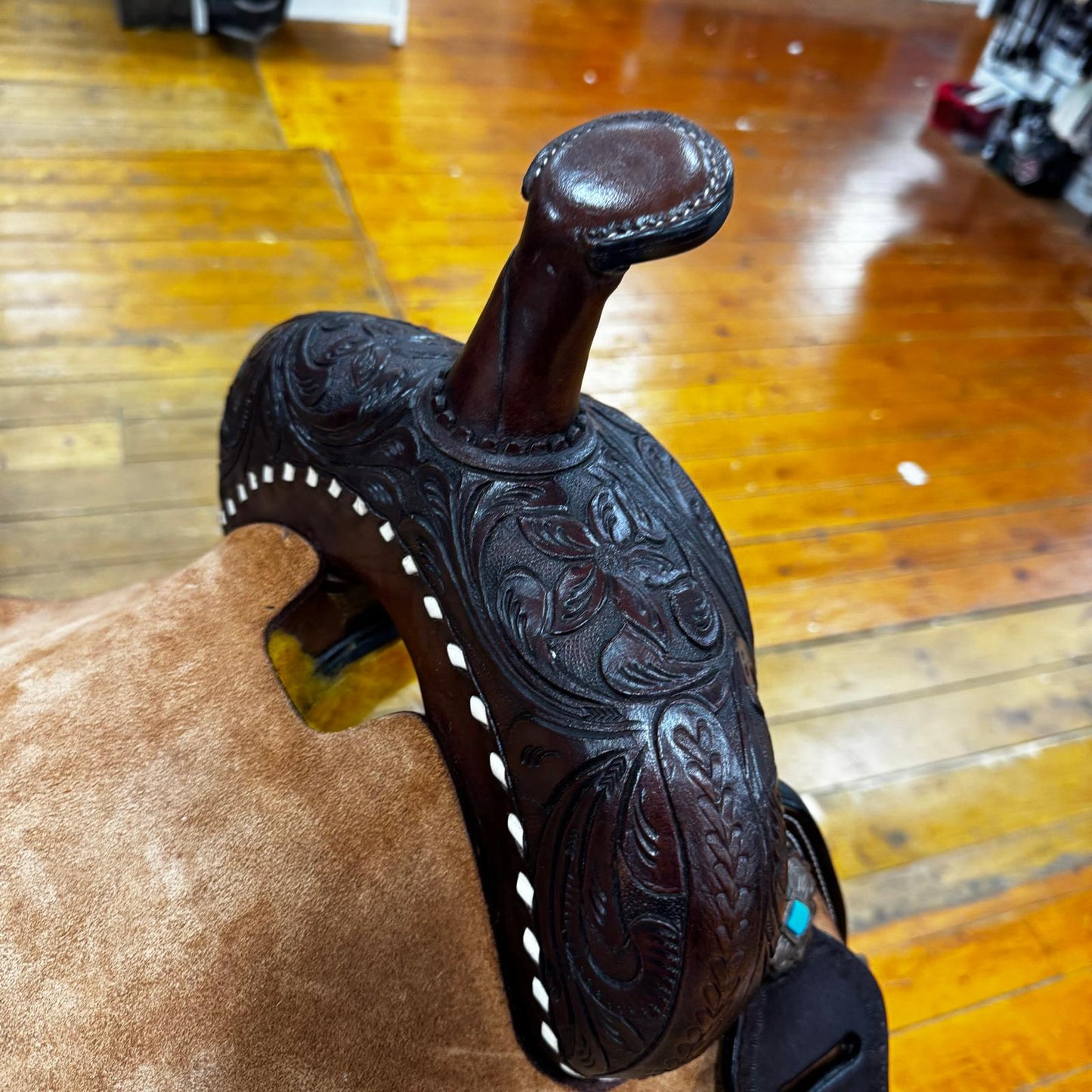 Western Saddle Brown