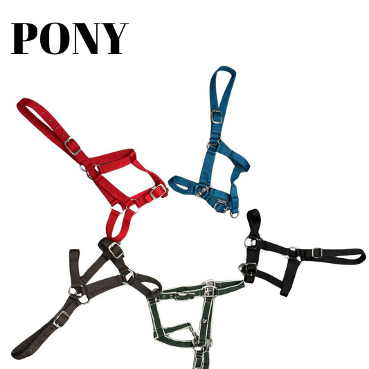 HS#0087 Pony Essencial Head Collars Pack of 5