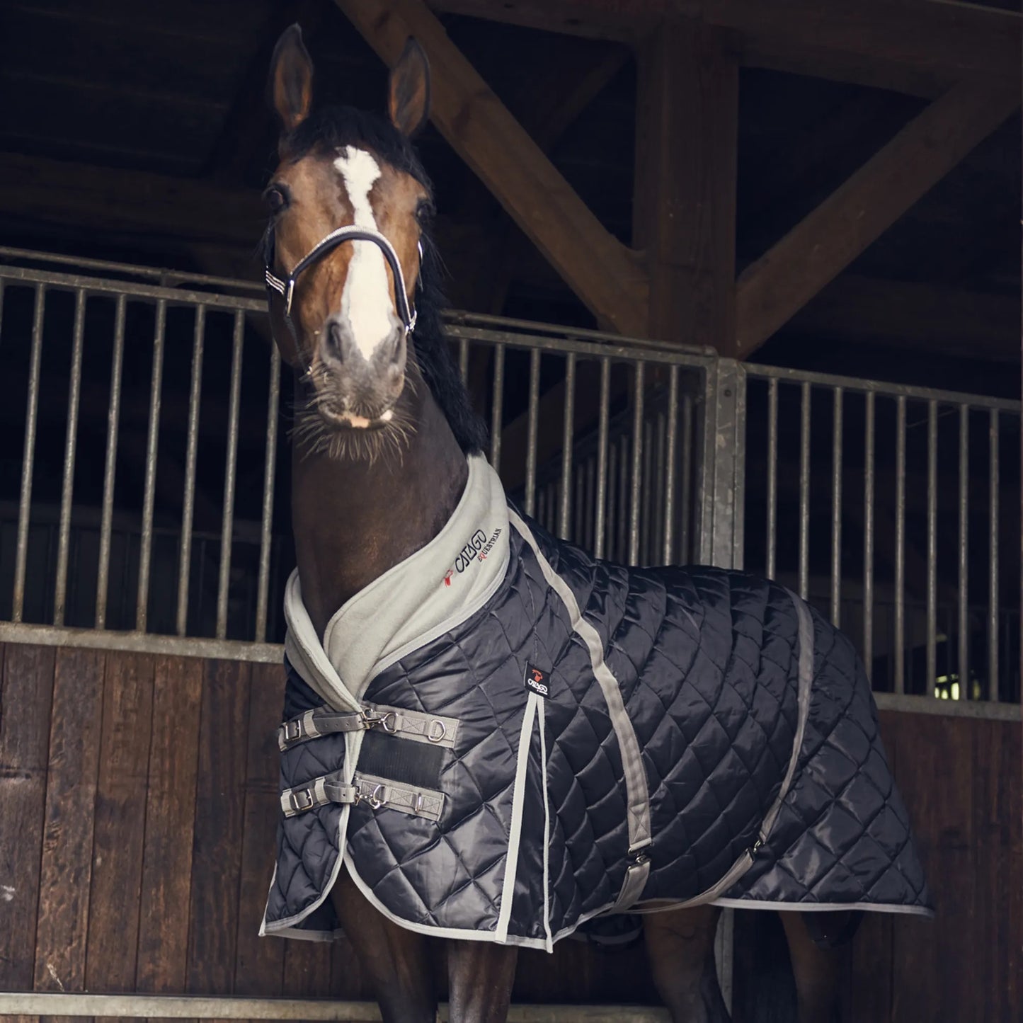 HS#0046 Catago Standard Neck Stable Rug 100g