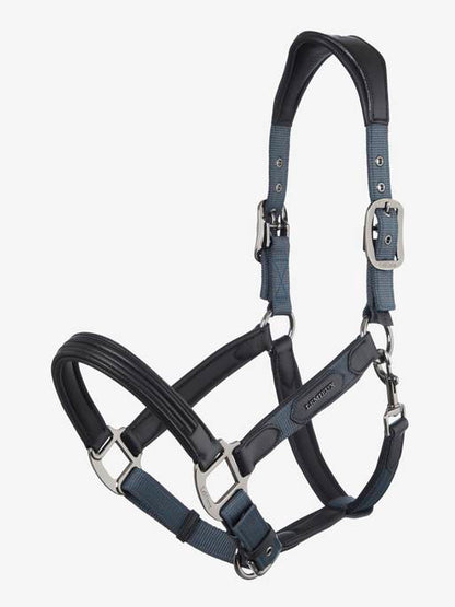 LeMieux Capella Headcollar