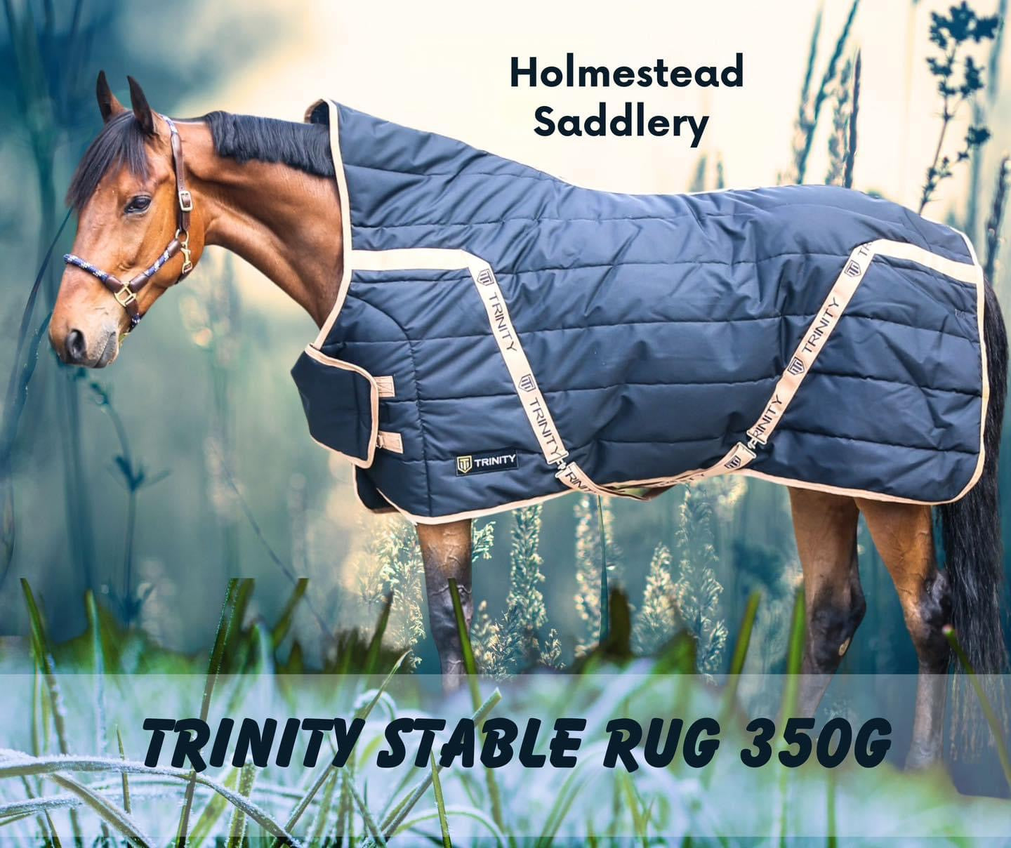 Holmestead Trinity Half Neck Stable Rug 350g – South Holmestead ...