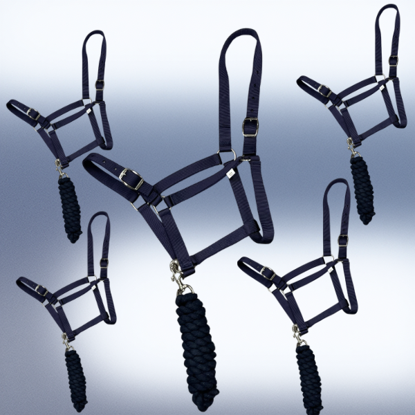 Holmestead Headcollar & Leadrope Deal