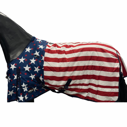 Holmestead Saddlery America Turnout Rug 300g