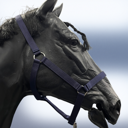 Holmestead Headcollar & Leadrope Deal