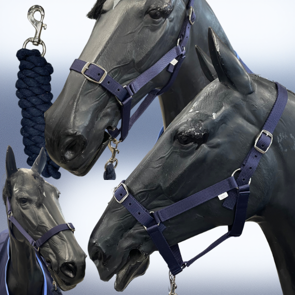 Holmestead Headcollar & Leadrope Deal