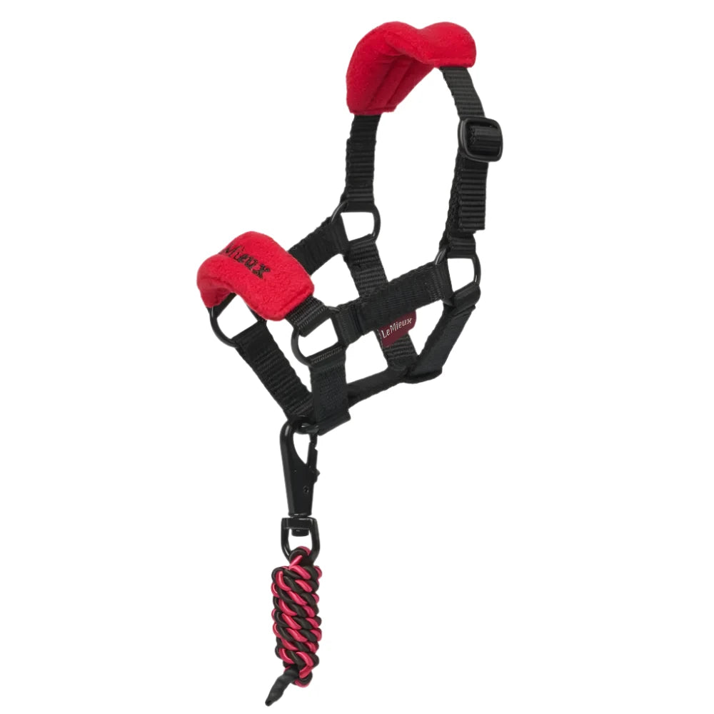 LeMieux Toy Pony Vogue Headcollar & Leadrope