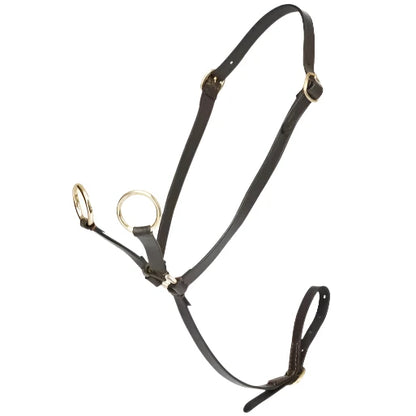 Lemieux Toy Pony Martingale