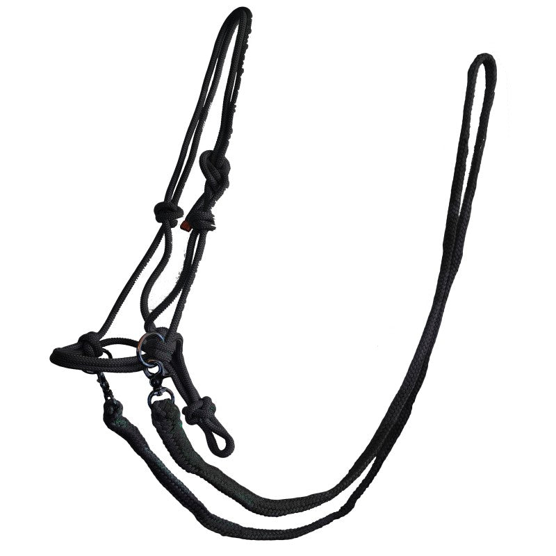 Rope Halter with Reins