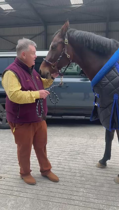 Holmestead Lux Stable Rug 300g