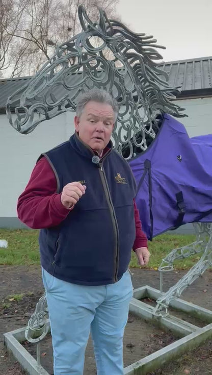 Crazy Turnout Rug Offer