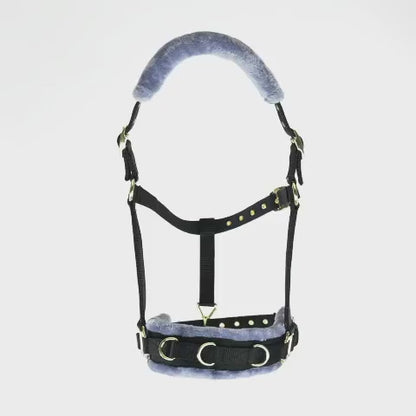 Shires Arma Fleece Lined Lunge Cavesson