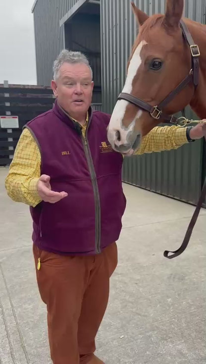 Holmestead Sky Turnout Rug 300g