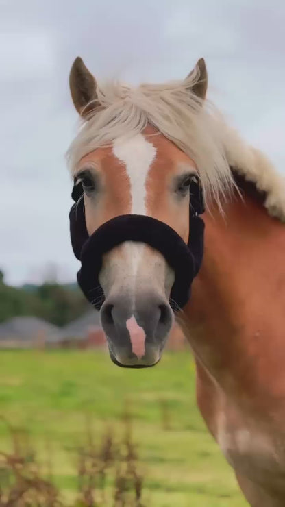 Holmestead Deluxe Fluffy Headcollar