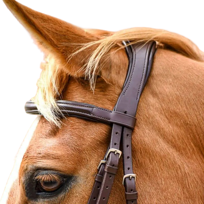 Stationata Pull Back Bridle