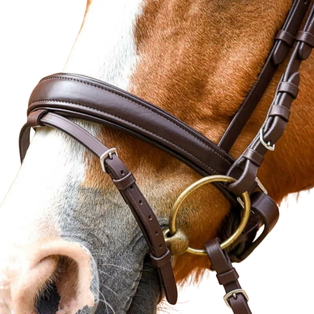 Stationata Pull Back Bridle