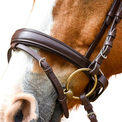 Stationata Pull Back Bridle