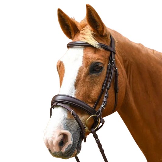 Stationata Pull Back Bridle