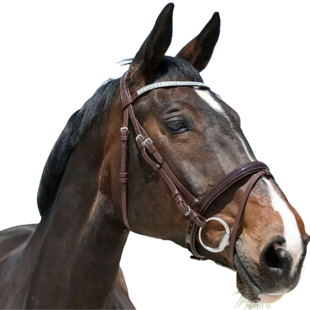 Stationata Polished and Sparkle Bridle