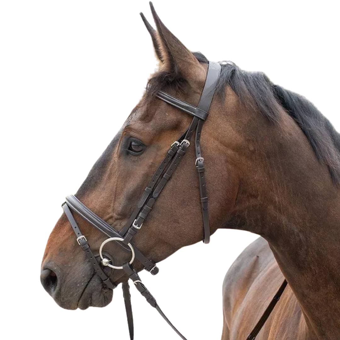Stationata Combined Noseband Bridle