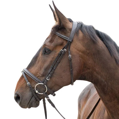 Stationata Combined Noseband Bridle
