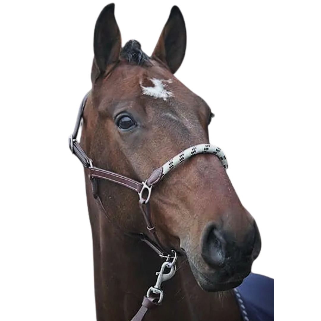 Stationata leather Rope headcollar