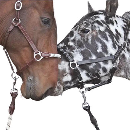 Stationata leather Rope headcollar