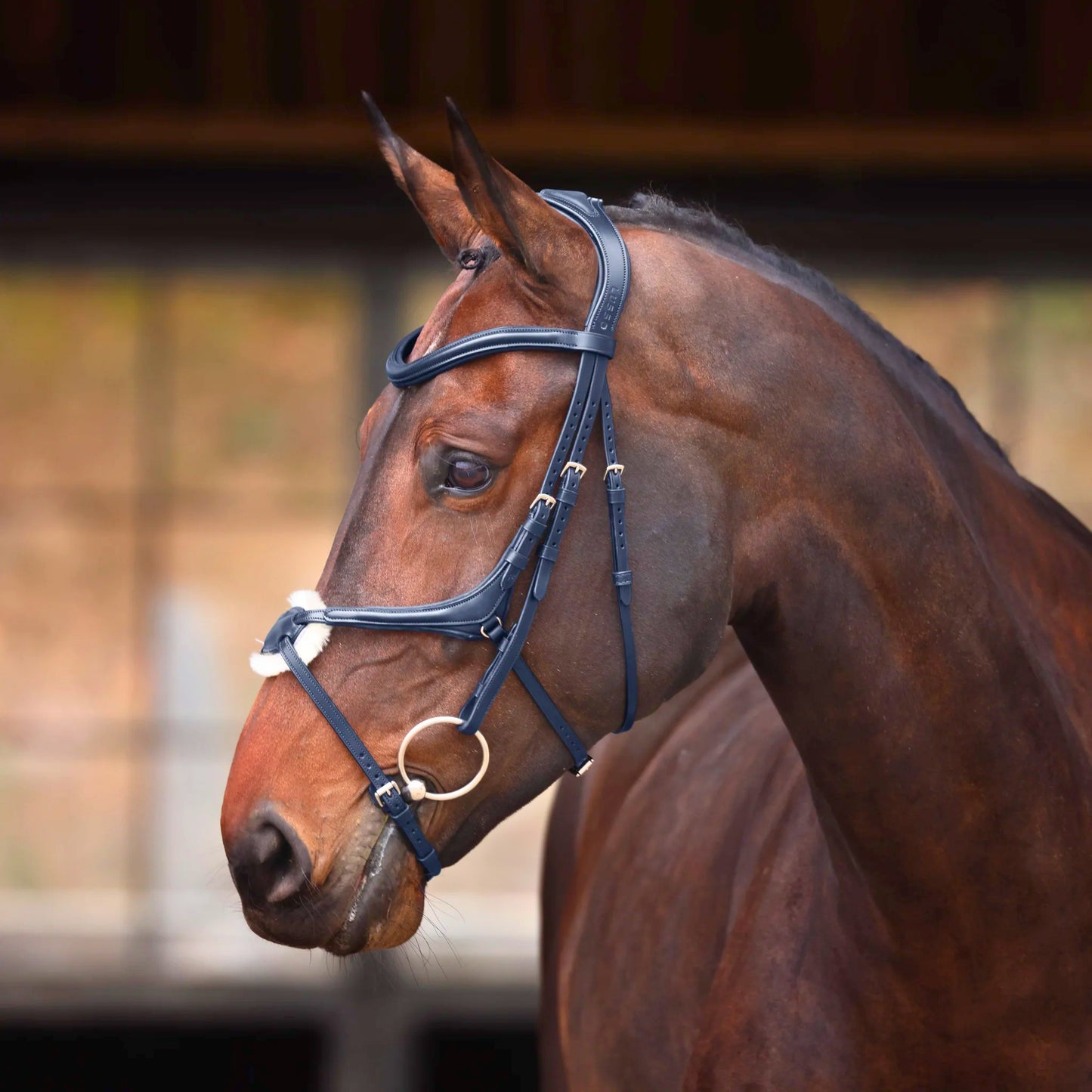Shires Velociti Lusso Elite Grackle Bridle