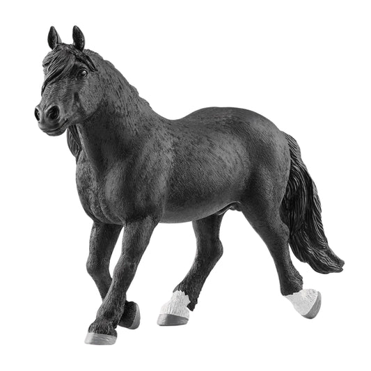 Schliech Noriker Stallion