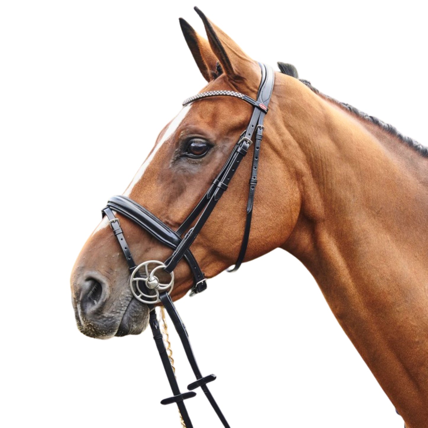 John Whitaker Barton Bling Bridle