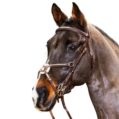 John Whitaker Valencia Mexican Bridle