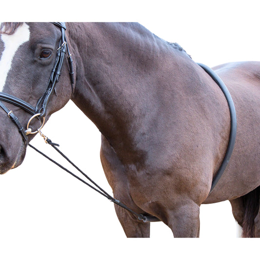 Shires Arma Soft Lunging Aid