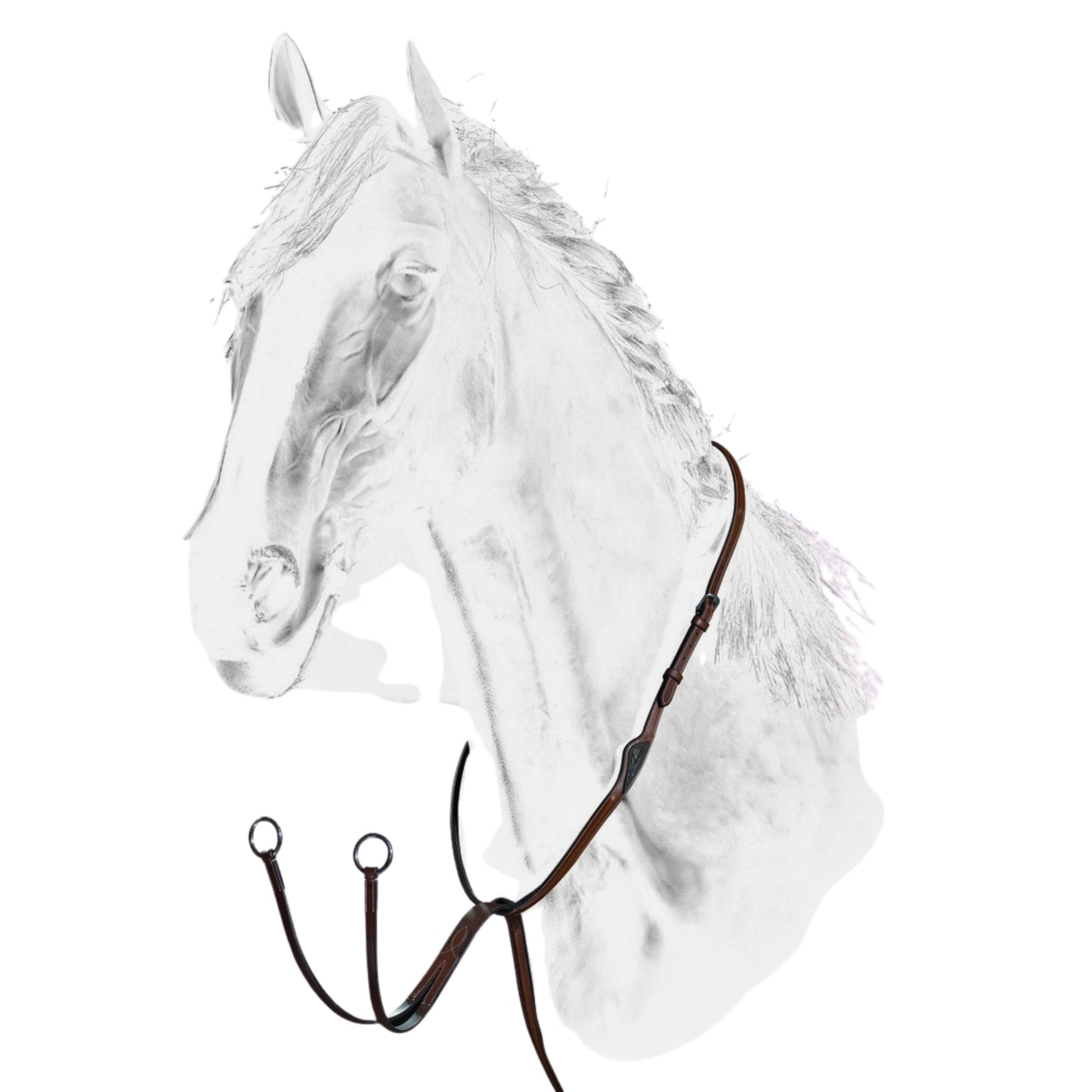 Equiline Running Martingale