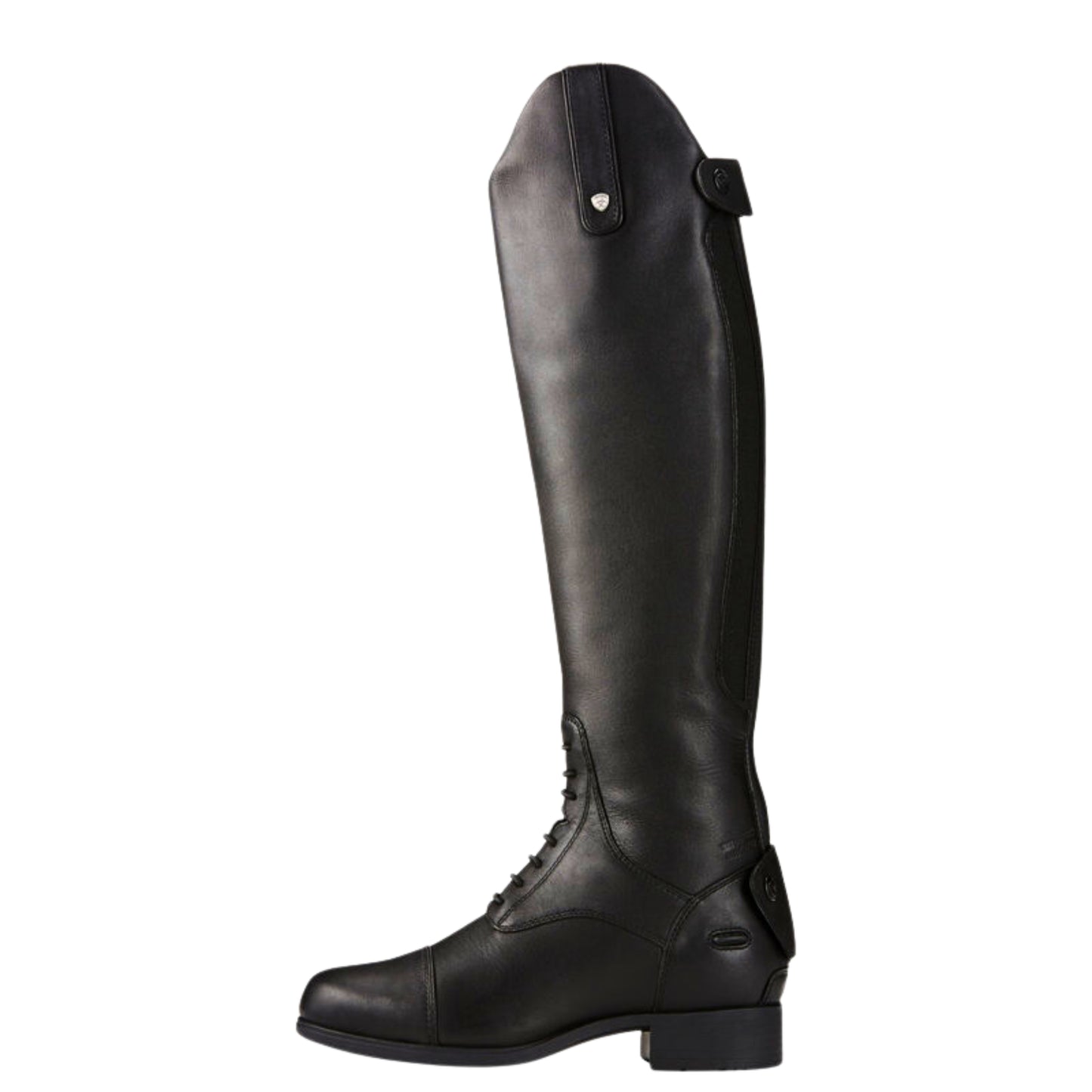 Ariat Bromont Pro Tall H2O Insulated Boots Women's (Tall Height) Black