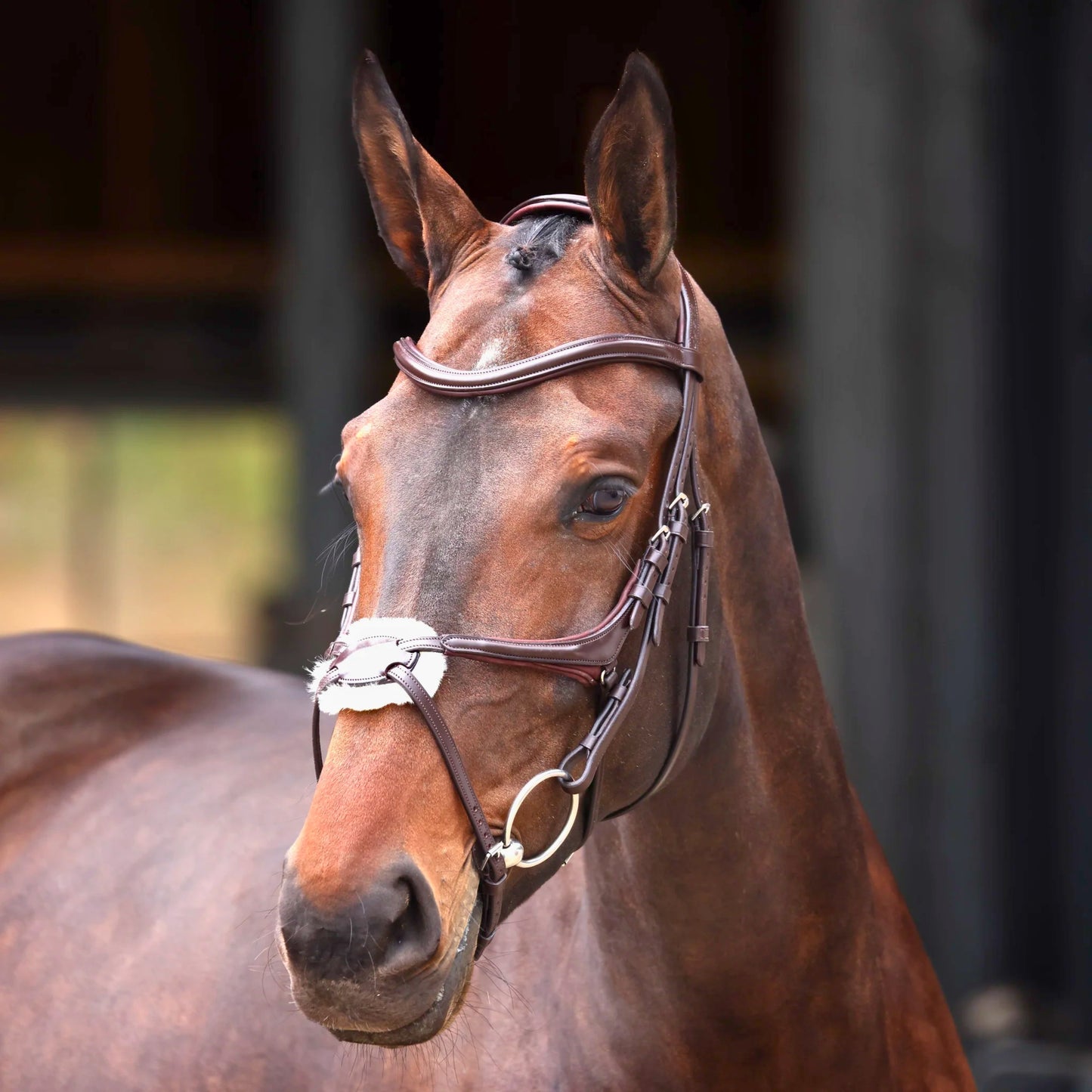 Shires Velociti Lusso Elite Grackle Bridle